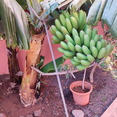Casita La Gomera San Sebastián de la Gomera Esterno foto