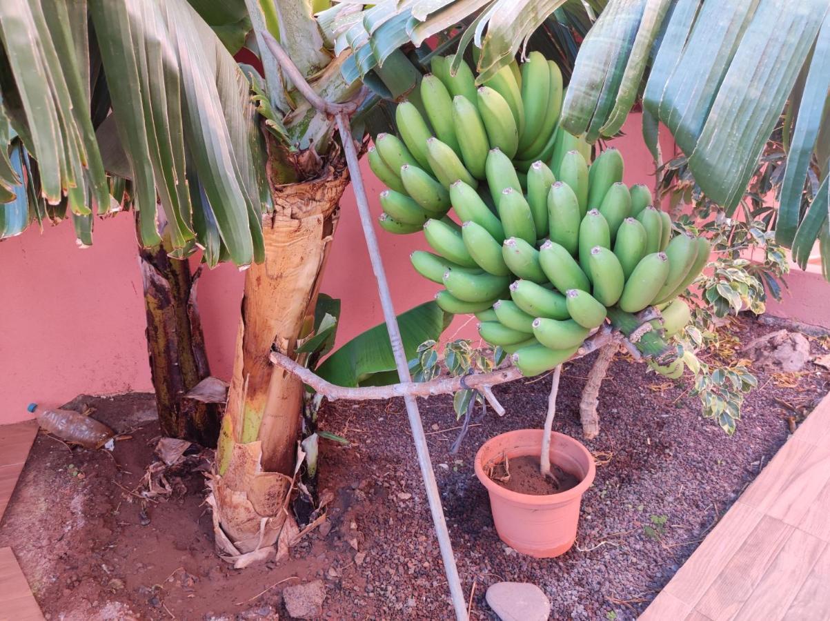 Casita La Gomera San Sebastián de la Gomera Esterno foto